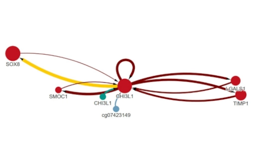 ONCOSYS Project - Image 2